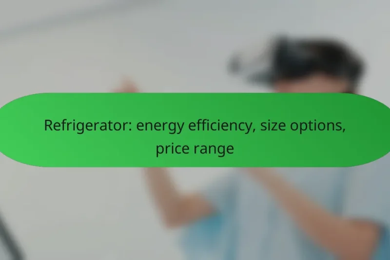 Refrigerator: energy efficiency, size options, price range